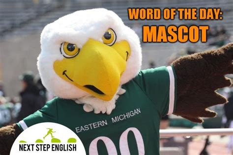 Question the vocabulary mascot